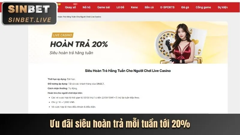 Hướng dẫn toàn diện về betvnd casino
